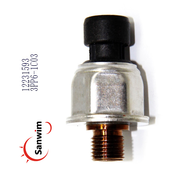 3PP6-1C03��12231593��224-4536��3374MYC